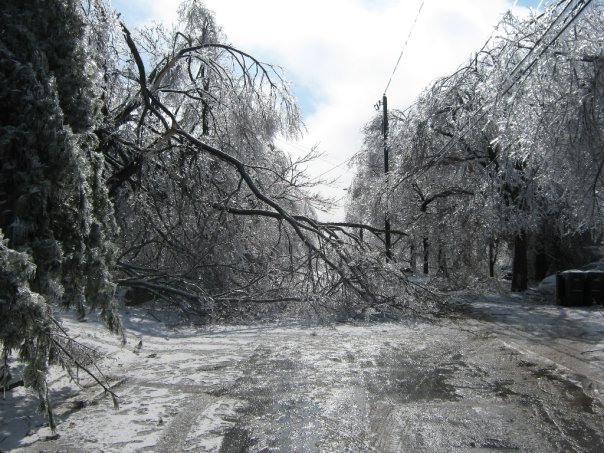 NWA American Red Cross