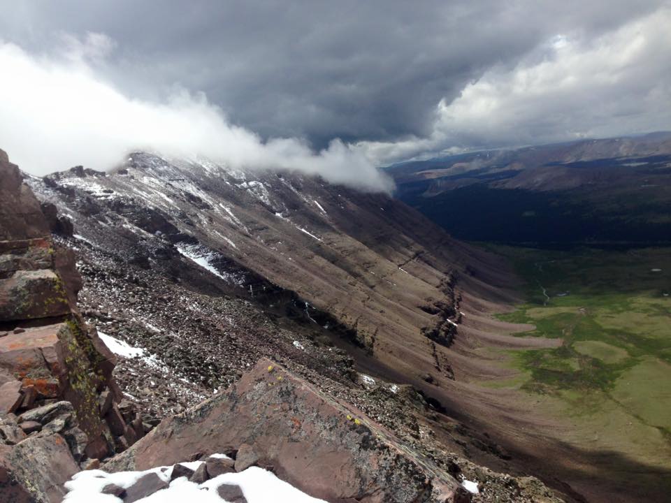 Professional Summary